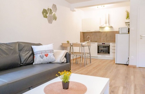 Jachymov Apartment | Beautiful apartment for 5 guests with WIFI, TV, terrace, pets allowed and parking
