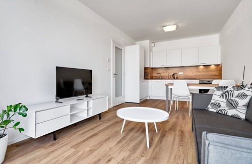 Abertamy Apartment | Beautiful apartment for 4 guests with WIFI, TV and parking