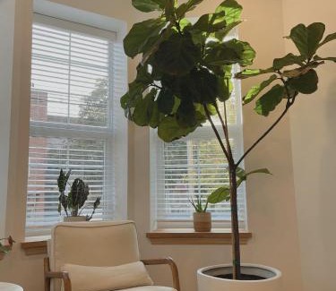 Bushwick Apartment | Beautiful Apartment shared with the Host in the Heart of Bushwick