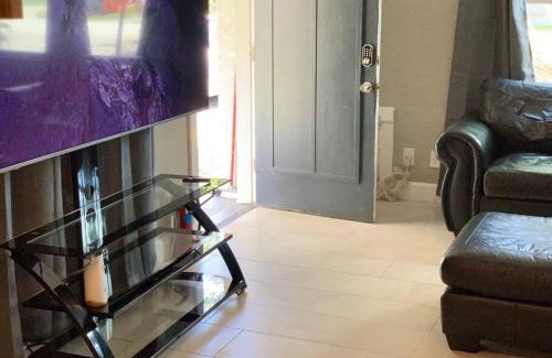 Daytona Beach Apartment | Beautiful Apartment in Daytona Beach 1 Bed 1 Bath
