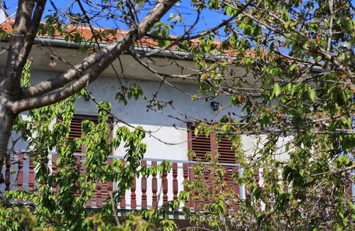 Bibinje Apartment | Beautiful apartment with a large garden and sea views