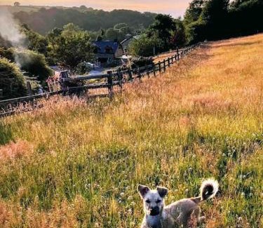 Tan-y-groes House | Beautiful Barn Conversion in West Wales