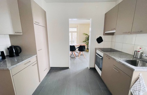 St. Gallen Apartment | Beautiful, bright, large apartment with balcony smarttv