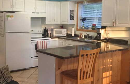 Bellaire Cabin | Beautiful Cabin on Beach Resort in Northern Michigan!