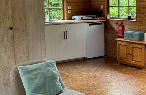 Raalte House | Beautiful chalet on 5 star vacation park Krieghuusbelten