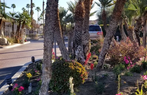 Palm Springs Condo | Beautiful Condo at Mesquite Country Club -Pool, Hot Tub, Tennis (City ID:4337)