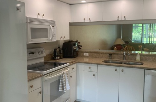 Estero Condo | Beautiful condo in Breckenridge Golf & Tennis club