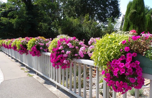 Baldersheim Apartment | Beautiful Country Home with Terrace, Close to Amenities & Highways, Sleeps 5 + Baby