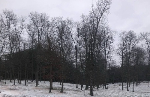 Calvin House | Beautiful country surroundings. Surrounded by beautiful mountains.