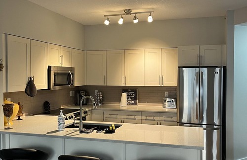 Downtown Edmonton Condo | Beautiful Downtown Executive Suite