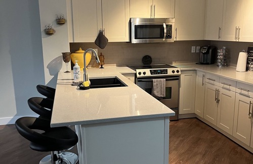Downtown Edmonton Condo | Beautiful Downtown Executive Suite
