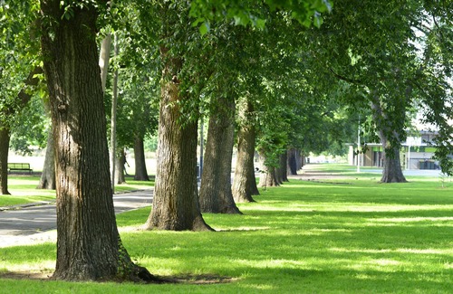 Clifton Hill Apartment | Beautiful Edinburgh Gardens as your back yard!
