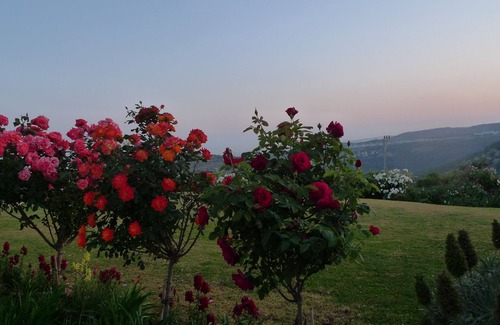 Mateh Yehuda House | Beautiful estate with large garden and swimming pool 15 minutes from Jerusalem