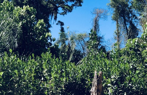Sousas Cottage | Beautiful estate with swimming pool, tennis court, sauna, gardens, lakes and native forest
