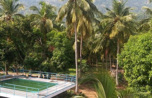 Chittur Other | Beautiful Farm House in the heart of Mango Village