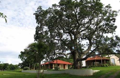 Angatuba Cottage | Beautiful farm with pool near the city
