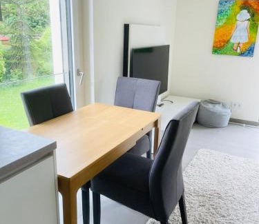 Muhlenbach Apartment | Beautiful Flat with garden view, terrace and parking-105