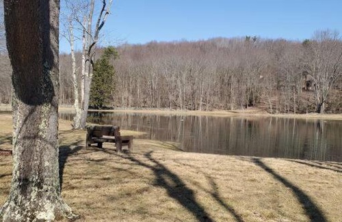 Greentown House | Beautiful getaway 15 min walk to Lake Wallenpaupak
