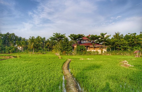 Bohorok House | Beautiful getaway in Bukit lawang (Recommended for Solo travellers)