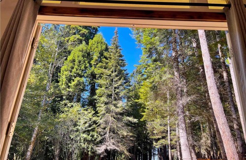 Fort Bragg Cabin | Beautiful Glamping Cabin in an old growth redwood forest with ocean views.