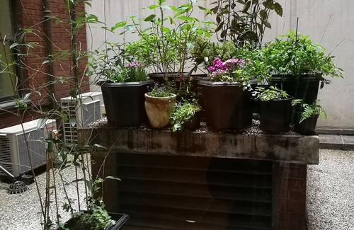 Royal Borough of Kensington and Chelsea Apartment | Beautiful heaven @ High Street Kensington Tube Station, incl. weekly cleaning