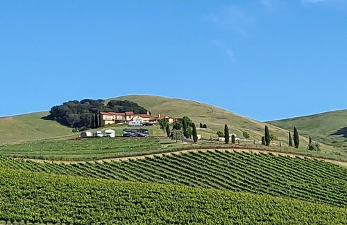 American Canyon House | Beautiful Hillside Olive Ranch, Napa Valley