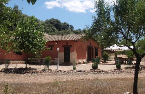 Belvis de la Jara House | Beautiful house in the middle of the field