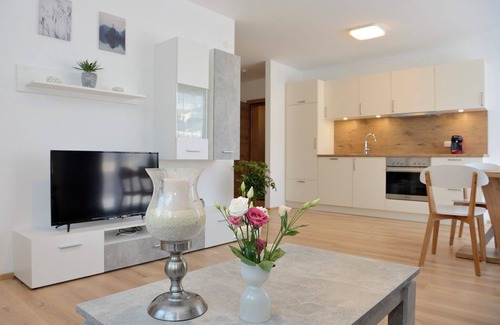 Muhlbachl Apartment | Beautiful Holiday Apartment "Olperer" with Wi-Fi, Garden and Terrace