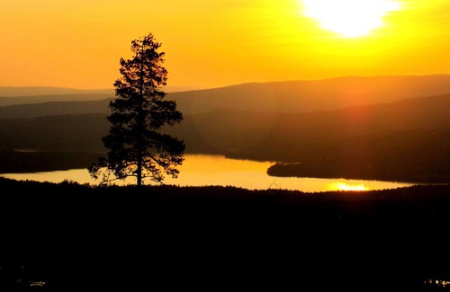 Letafors House | Beautiful Holiday Home in Sysslebäck with Sauna