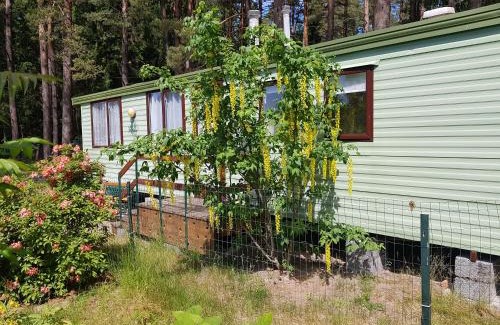Skulte House | Beautiful holiday home near the pine forest