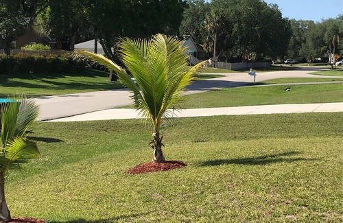 Port Malabar House | Beautiful home in Palm Bay convenient to Bayside Lakes Shoppes and golf courses.