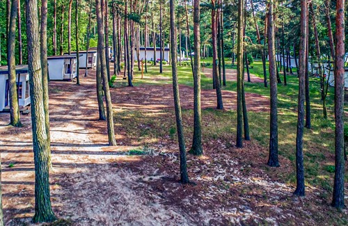 Swiecie House | Beautiful home in Sulnowo with sauna