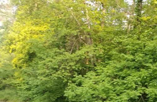 Ellijay House | Beautiful home located on Clear Creek . Relax and enjoy the sounds of nature....