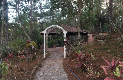 Nueva Concepcion House | Beautiful house and a nice terrace in a forest