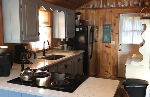 Middleton Cabin | Beautiful lakefront cabin with private beach in secluded cove - Sunrise Lake