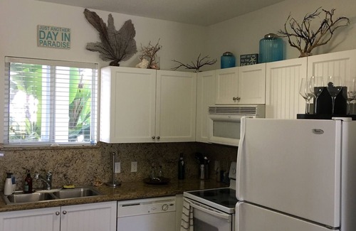 Alice Town Condo | Beautiful Large Condo in Paradise