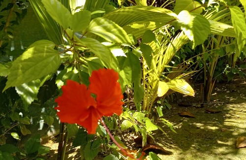 Bocas del Toro House | Beautiful large home in Paunch, Bocas del Toro