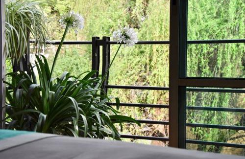 Escandon Apartment | Beautiful LOFT in Trendy ROMA-CONDESA Elevator