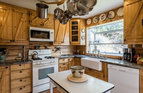 Idaho Springs House | Beautiful Log Cabin Nestled in the Mountains, Hot Tub Under the Stars