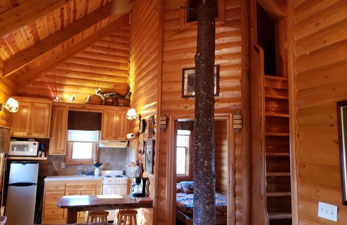 Steinauer Cabin | Beautiful Log Cabin ~ "The Drake" ~ On 182 Acres ~ Natural Paradise!
