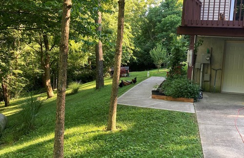 Union House | Beautiful lower level of house in nature with wildlife all around.