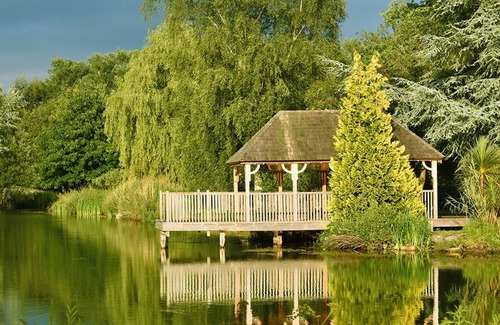 New Forest District Cottage | Beautiful Luxury Cottage in the New Forest