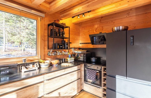 Selonnet Ski Chalet | Beautiful modern chalet, exceptional mountain and pine views