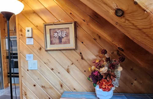 Webster House | Beautiful, modern log cabin on a great swimming and fishing lake with privacy!