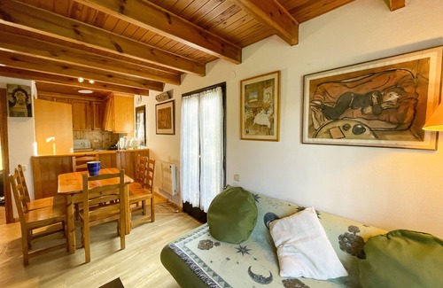 Pla de l'Ermita Apartment | Beautiful mountain apartment in Boi Taull
