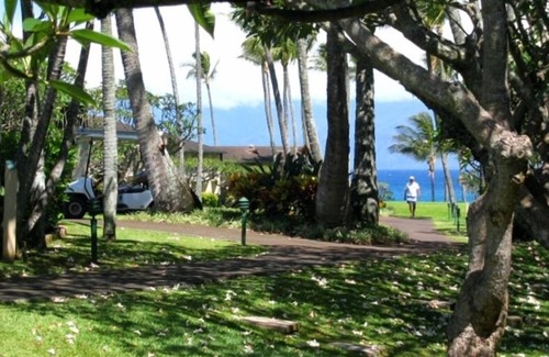 Napili Condo | Beautiful Napili Shores Condo!