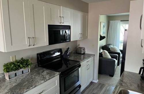 Alexandria Condo | Beautiful newly remodeled Lake Le Homme Dieu getaway