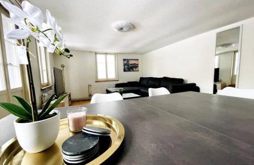 St. Gallen Apartment | Beautiful Old Building Apartment In The Center