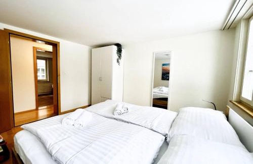 St. Gallen Apartment | Beautiful Old Building Apartment In The Center