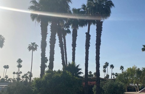 Cathedral City Condo | Beautiful Palm Springs poolside condo